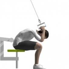 Cable Crunch, Seated Ending Position