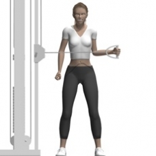 Cable External Rotation, Standing Ending Position