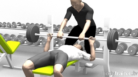 Muskelaufbau & Fettverbrennung durch Fitnesstraining | bodytrainer.tv by Stephan Arndt